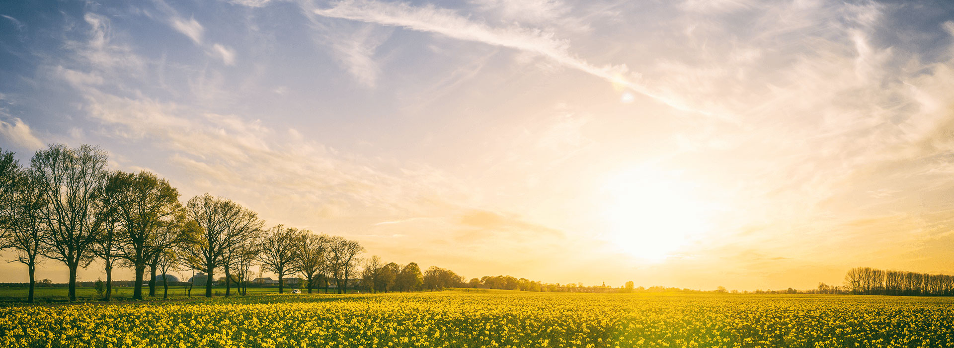 Προστατέψτε το περιβάλλον